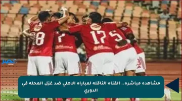 مشاهدة مباشرة.. القناة الناقلة لمباراة الأهلي ضد غزل المحلة في الدوري